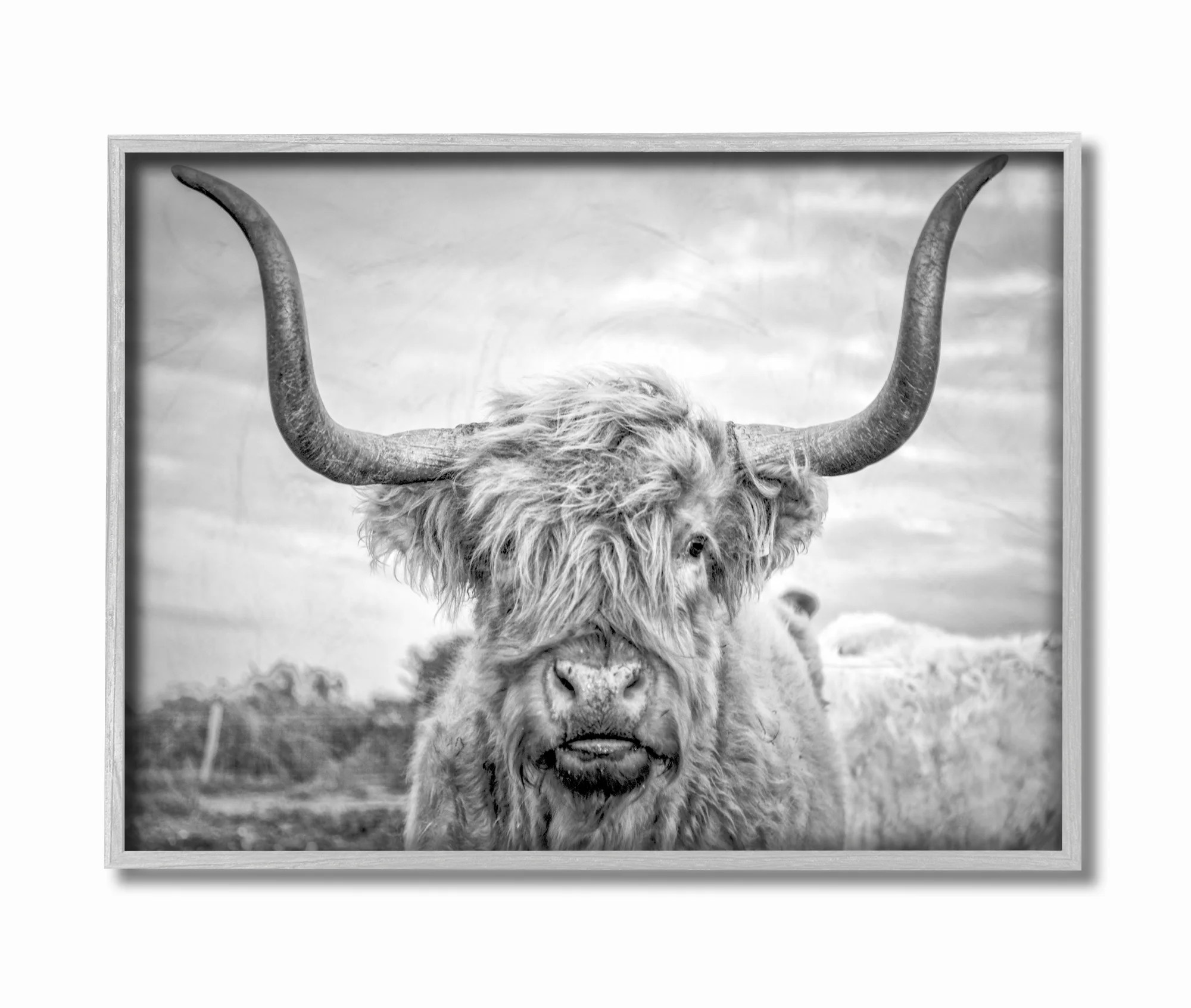 Stupell Home Décor Black and White Highland Cow Photograph Gray Framed Texturized Art | Walmart (US)
