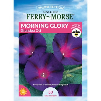 Ferry-Morse Morning Glory Seeds 1.4 Gram(s) Lowes.com | Lowe's