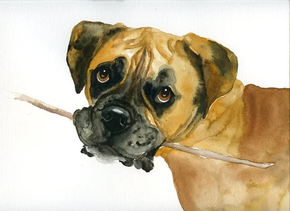 Custom dog portrait Custom pet portrait Custom pet painting | Etsy | Etsy (US)