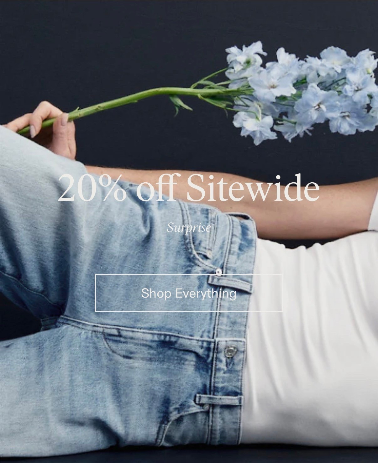 Have wanted to try these jeans for a while now and just noticed it’s 20% off site wide! Sizes going quick! 

AYR, legend jeans, classic style, mom style, classic jeans, blue jean baby 

#LTKOver40 #LTKSaleAlert #LTKmomlife
