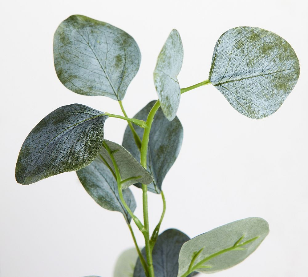 Faux Silver Dollar Eucalyptus Mini Tree | Pottery Barn (US)