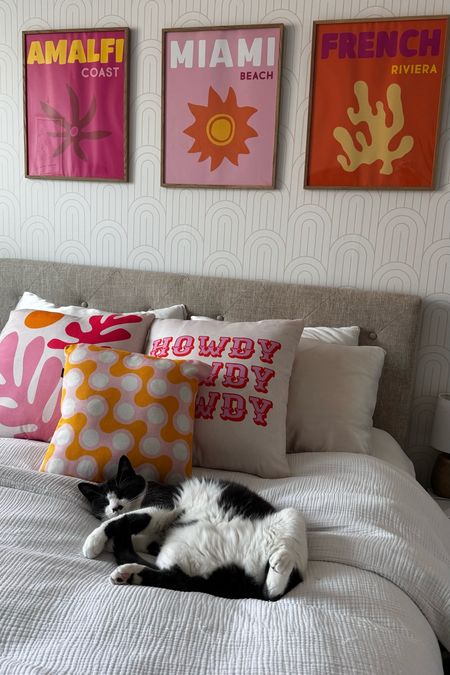 colorful pink and orange throw pillows and wall posters 
