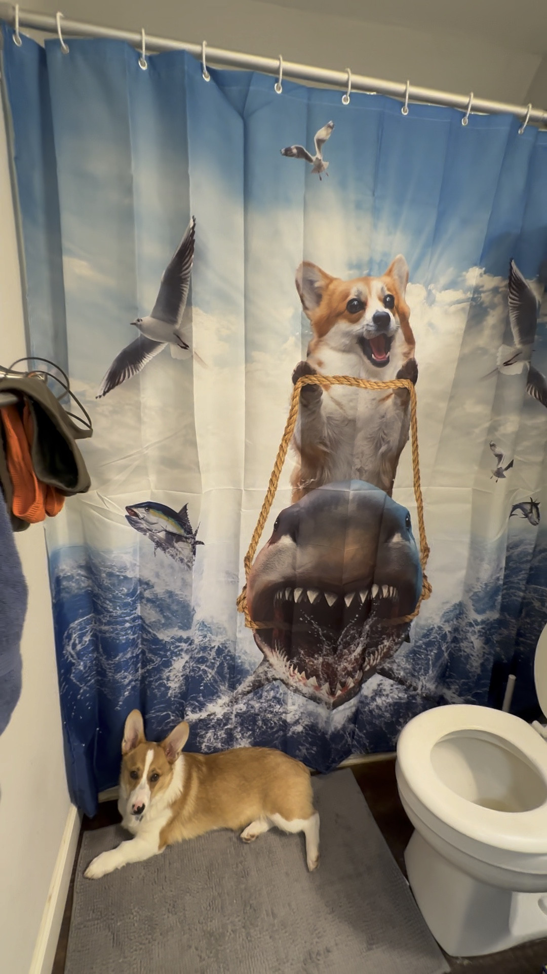The absolute coolest shower curtain!! Or bathroom is ocean themed and I stumbled upon this one and I’m obsessed!! #showercurtain #corgi #corgidecor #bathroomdesign #bathroomshower 