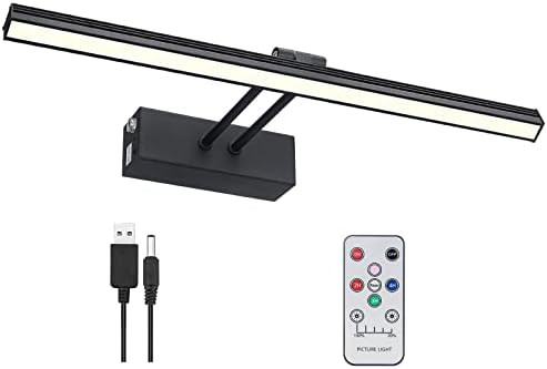 Amazon.com: FUNCHDAY Picture Light, Remote Control Art Light with Brightness Dimmable, Timer Pres... | Amazon (US)