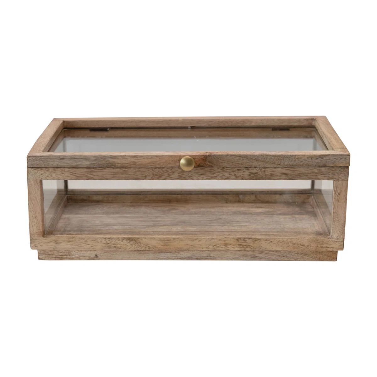 Mango Wood and Glass Display Box with Lid | Wayfair North America