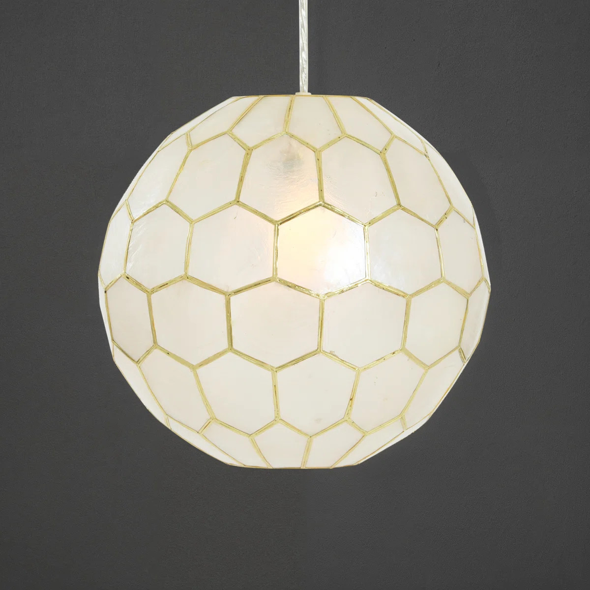 Capiz Honeycomb Globe Pendant Light | Wayfair North America