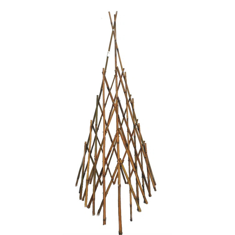 Wood Obelisk Trellis | Wayfair North America