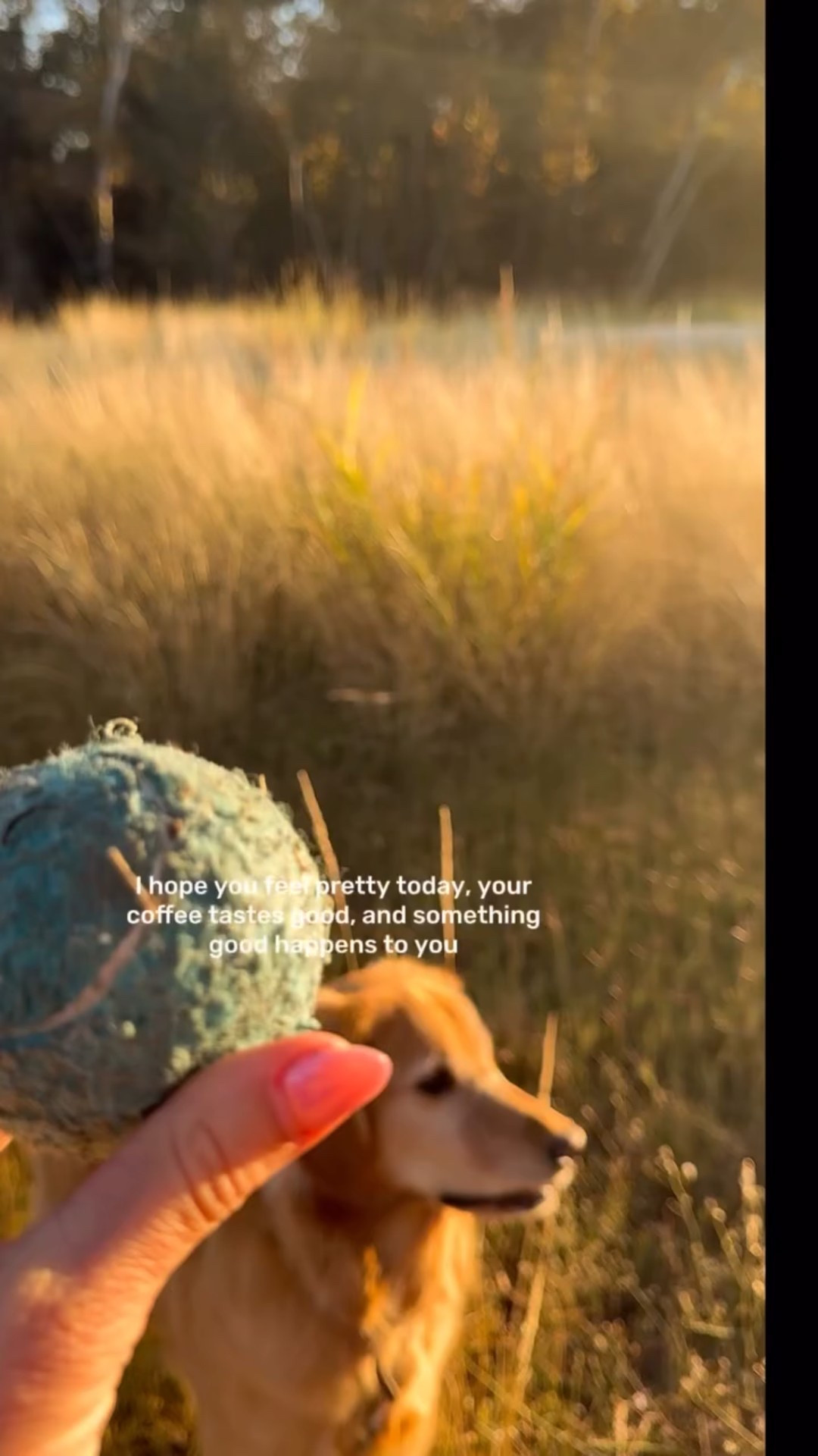 Happy Tuesday! #ootd #tuesday #play #dog #golden #tennisball #coffee #motivation #shine