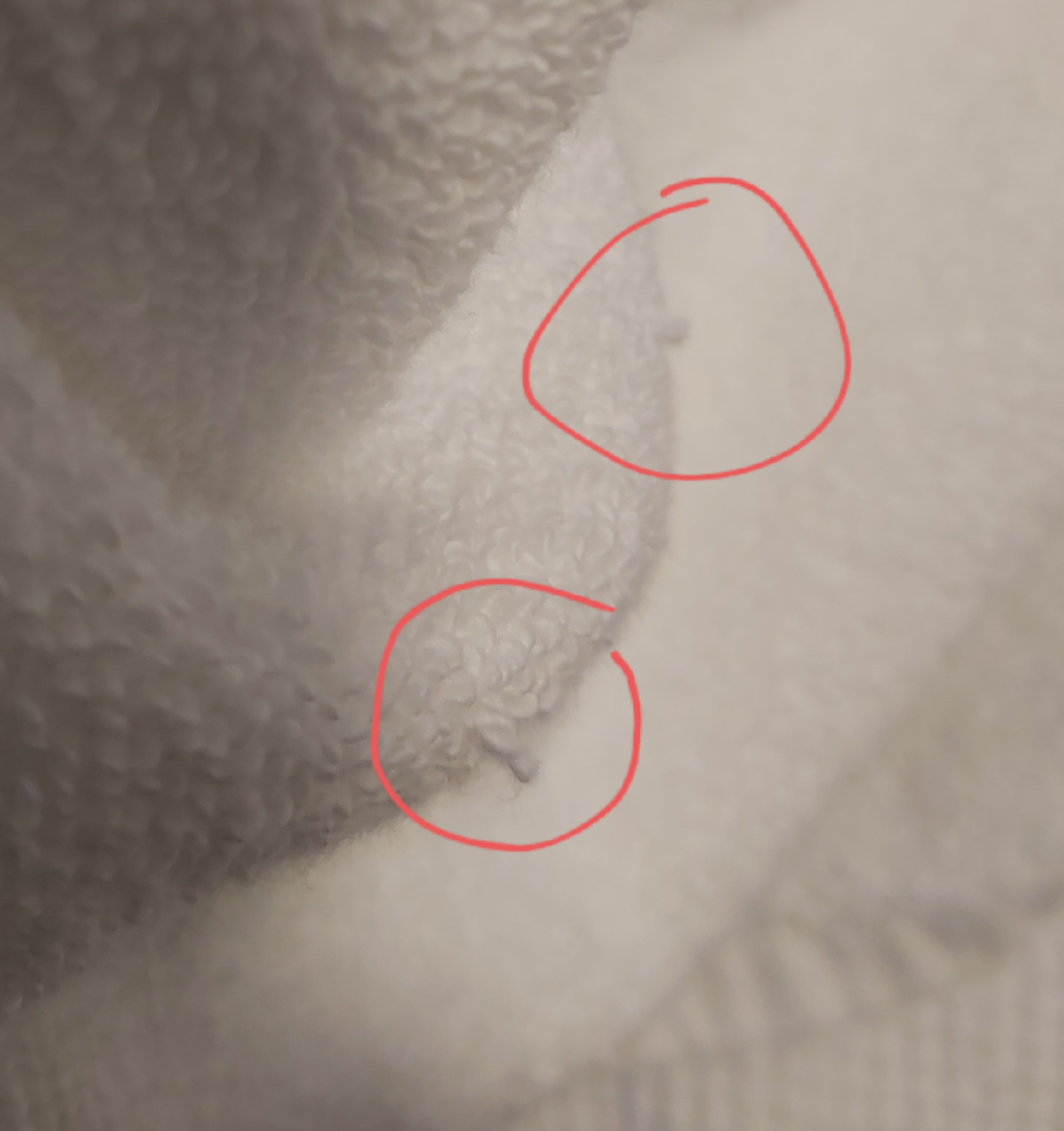 Amazon Basics Premium 100% Cotton Absorbent, Soft Bath Towel Mat Set, Machine Washable, Pack of 6... | Amazon (US)