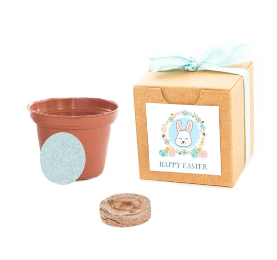 Seed Kit Easter Gifts for Kids & Adults Boys and Girls Fun | Etsy | Etsy (US)