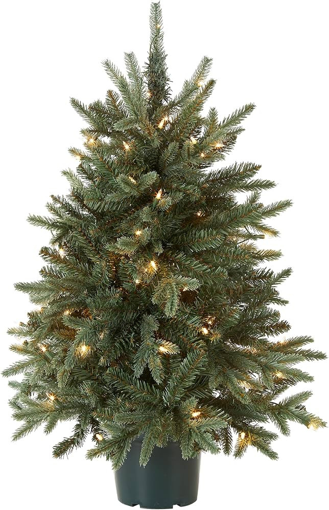 National Tree Company Artificial Christmas Tree For Entrances | Includes White Lights and Pot | E... | Amazon (US)