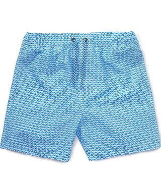 Big Boys Linear Fish Print Swim Trunk | Dillard's