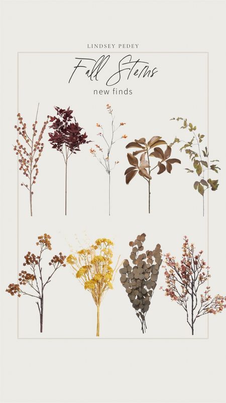 New fall stems! 


Fall stems , afloral , McGee & co. , studio McGee , fall decor , home decor , maple stems , coffee table styling , living room , vase 

#LTKhome #LTKFind #LTKSeasonal