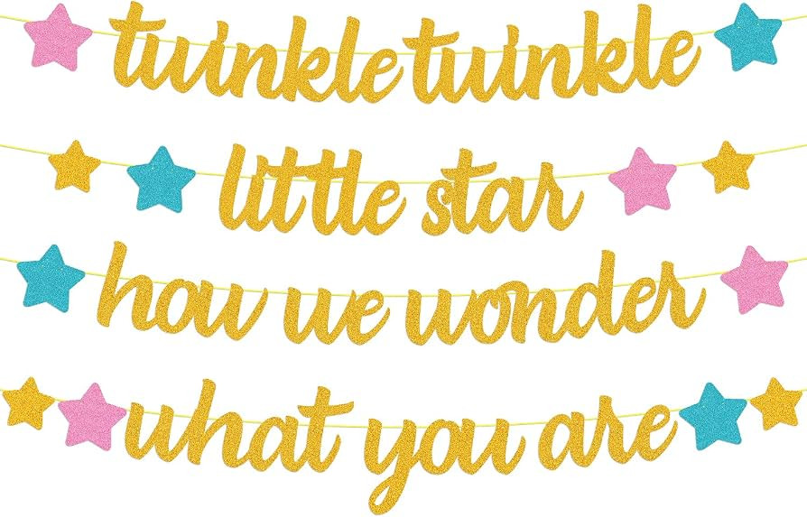 Twinkle Twinkle Llittle Star How We Wonder What You Are Banner Gender Reveal Decorations Boy or G... | Amazon (US)
