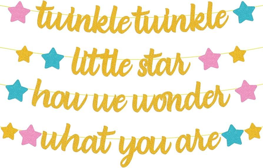 Twinkle Twinkle Llittle Star How We Wonder What You Are Banner Gender Reveal Decorations Boy or G... | Amazon (US)