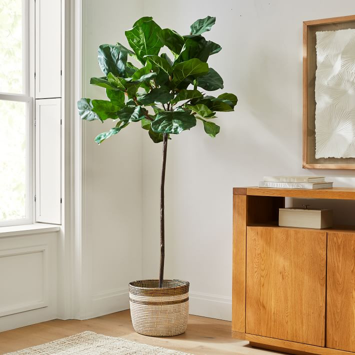 Faux Fiddle Leaf Fig Tree & Colorblock Basket Planter Bundle | West Elm (US)