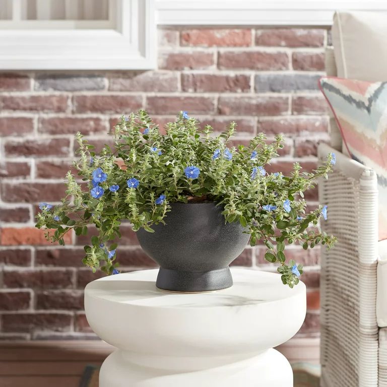Better Homes & Gardens 8”D x 5.9”H Round Ceramic Bowl Planter, Black | Walmart (US)