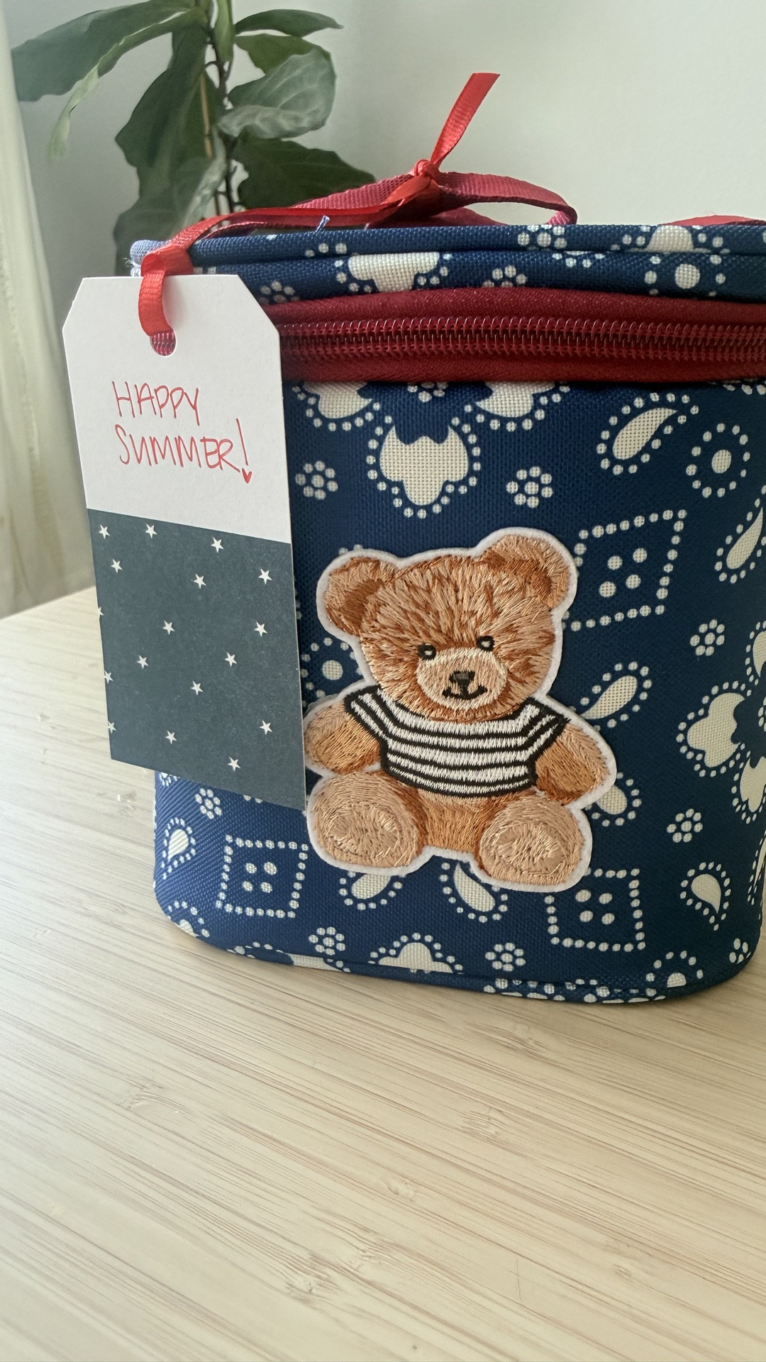 Another $5 cooler gift idea but this time patriotic for summer!!!🇺🇸🇺🇸🇺🇸

#LTKmomlife #LTKKids #LTKSeasonal