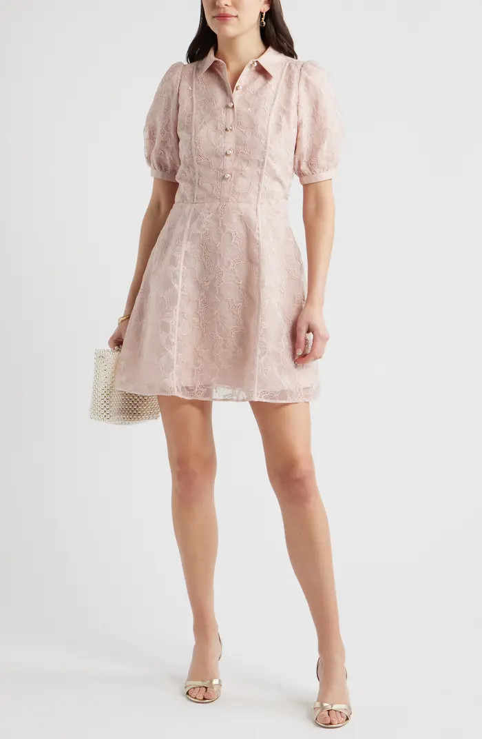 Chelsea28 Floral Embroidered Puff Sleeve Minidress | Nordstrom | Nordstrom