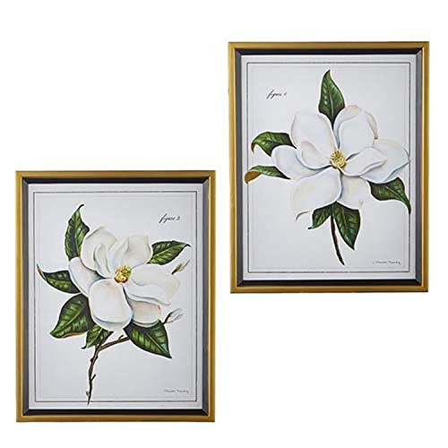 RAZ Imports Greenbrier 28" Magnolia Framed Print, Asst of 2 | Amazon (US)