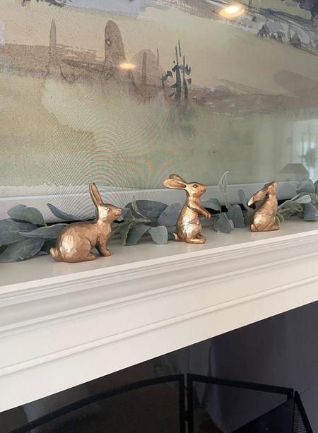 Easter decor

Follow me on Instagram @sarahrachelfinke

#easter #easterdecor #bunny #bunnies #bunnydecor 

#LTKhome #LTKSeasonal #LTKunder50