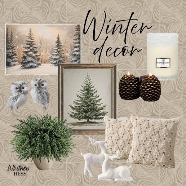 Beautiful wintery decor! 

#LTKGiftGuide #LTKHome #LTKSeasonal