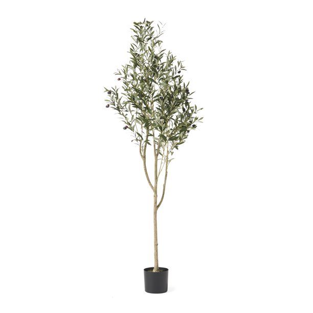 GDF Studio Atoka Artificial Olive Tree, 6' x 2' | Walmart (US)
