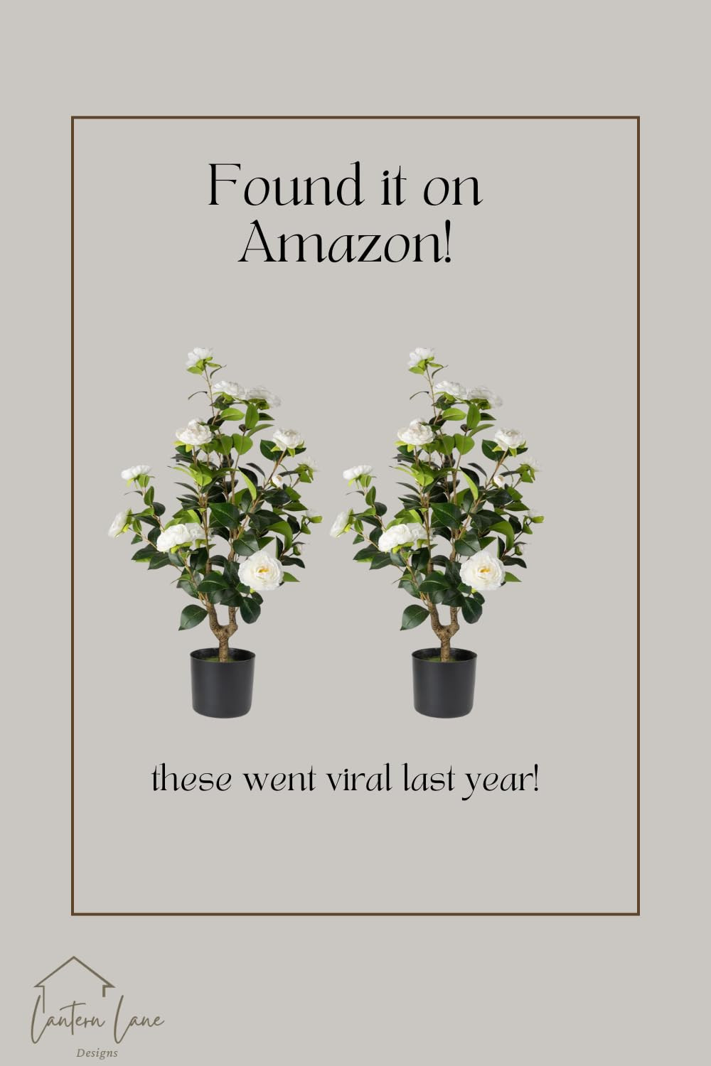 Datietiao Artificial Camellia Tree 2 Pack - Realistic Camellia Plants in Pot with White Flowers, ... | Amazon (US)