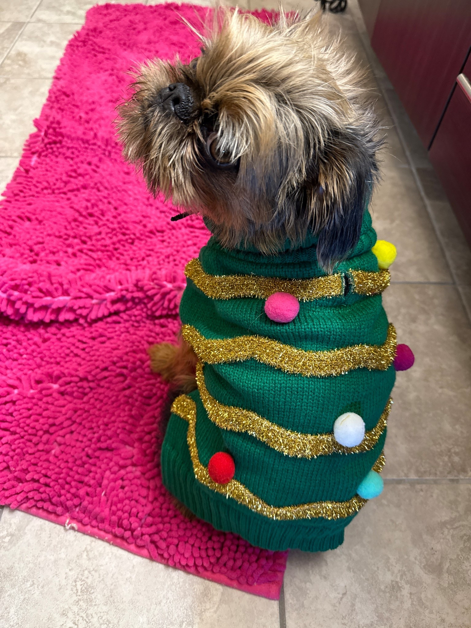 Got so many comments on p’s new sweater today so i wanted to share link! FAST ship! Size up a size!!! 

#LTKGiftGuide #LTKHoliday #LTKSaleAlert