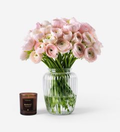 Ballet Slippers Italian Ranunculus | FLOWERBX