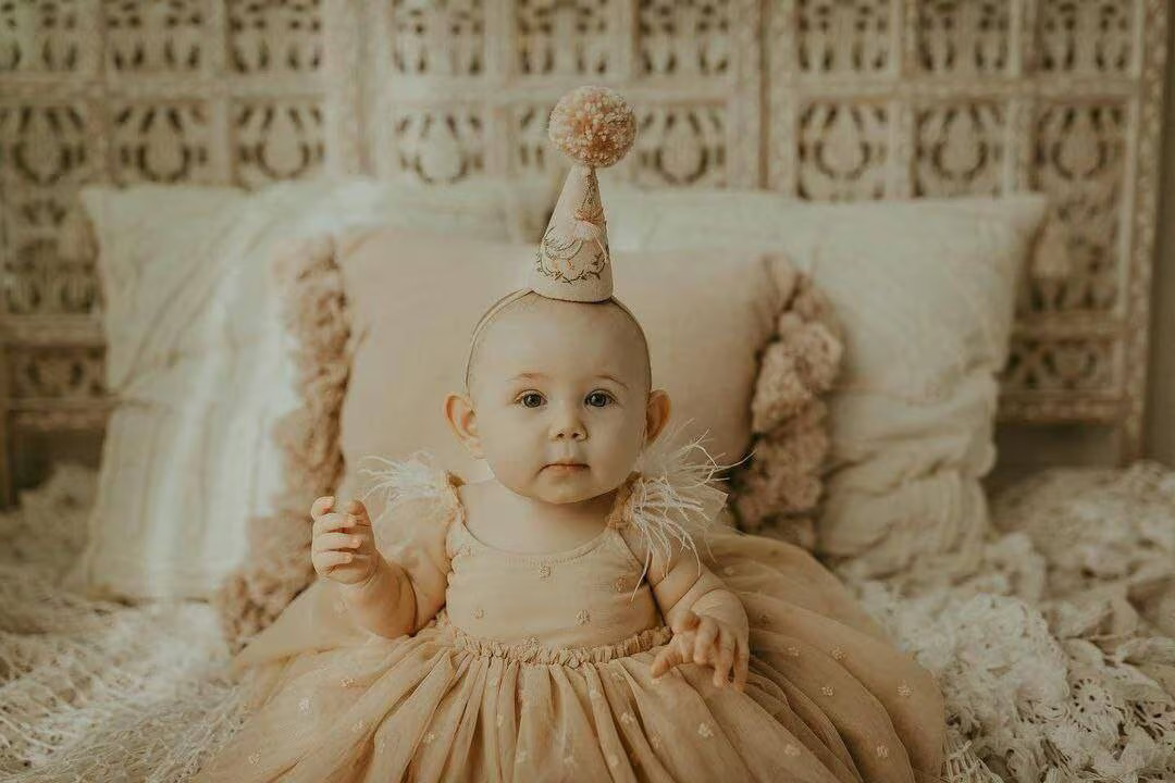 Party Hat, Goose Partyhat, Hat With Embroidery,mini Party Hat, Beige Birthday Hat, First Birthday... | Etsy (US)