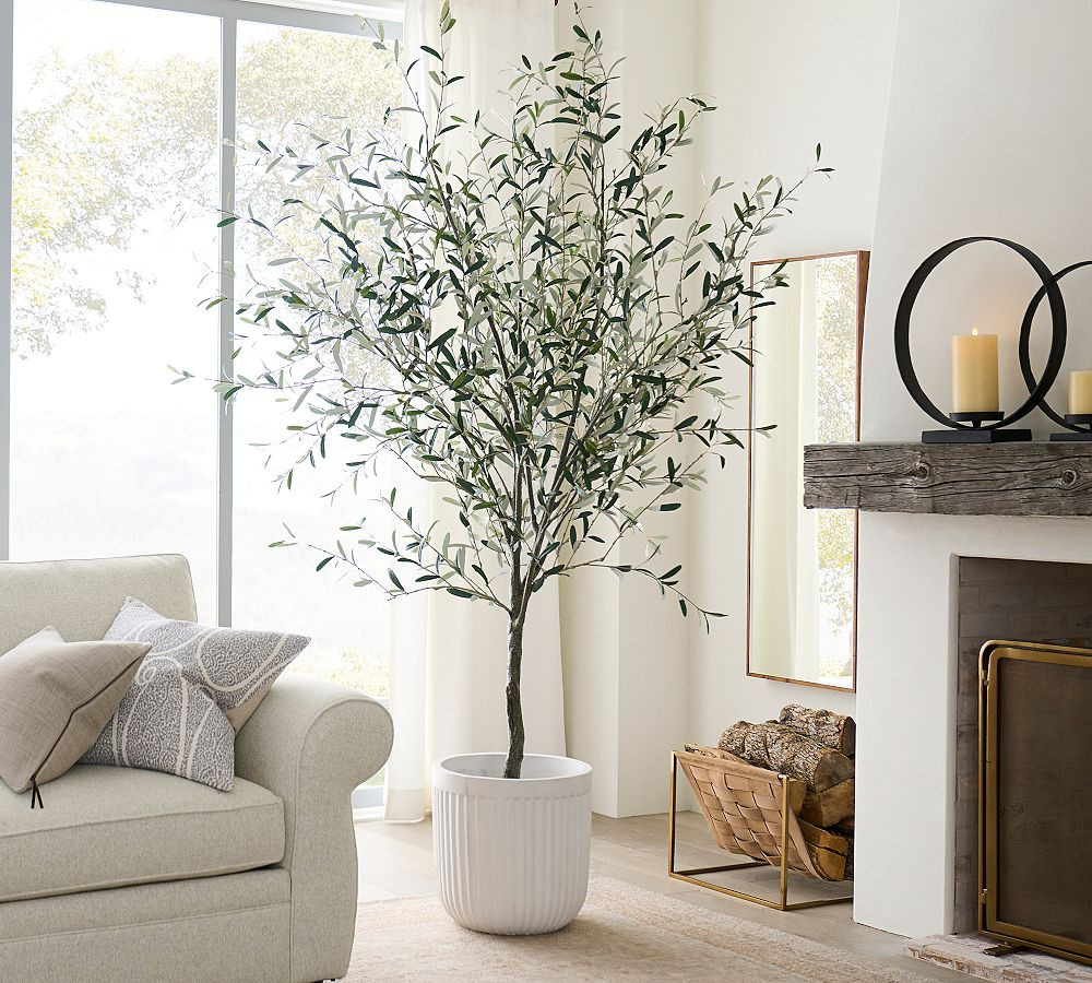 Faux Potted Olive Tree 8' with Medium Chalk Concrete Fluted Planter | Pottery Barn (US)