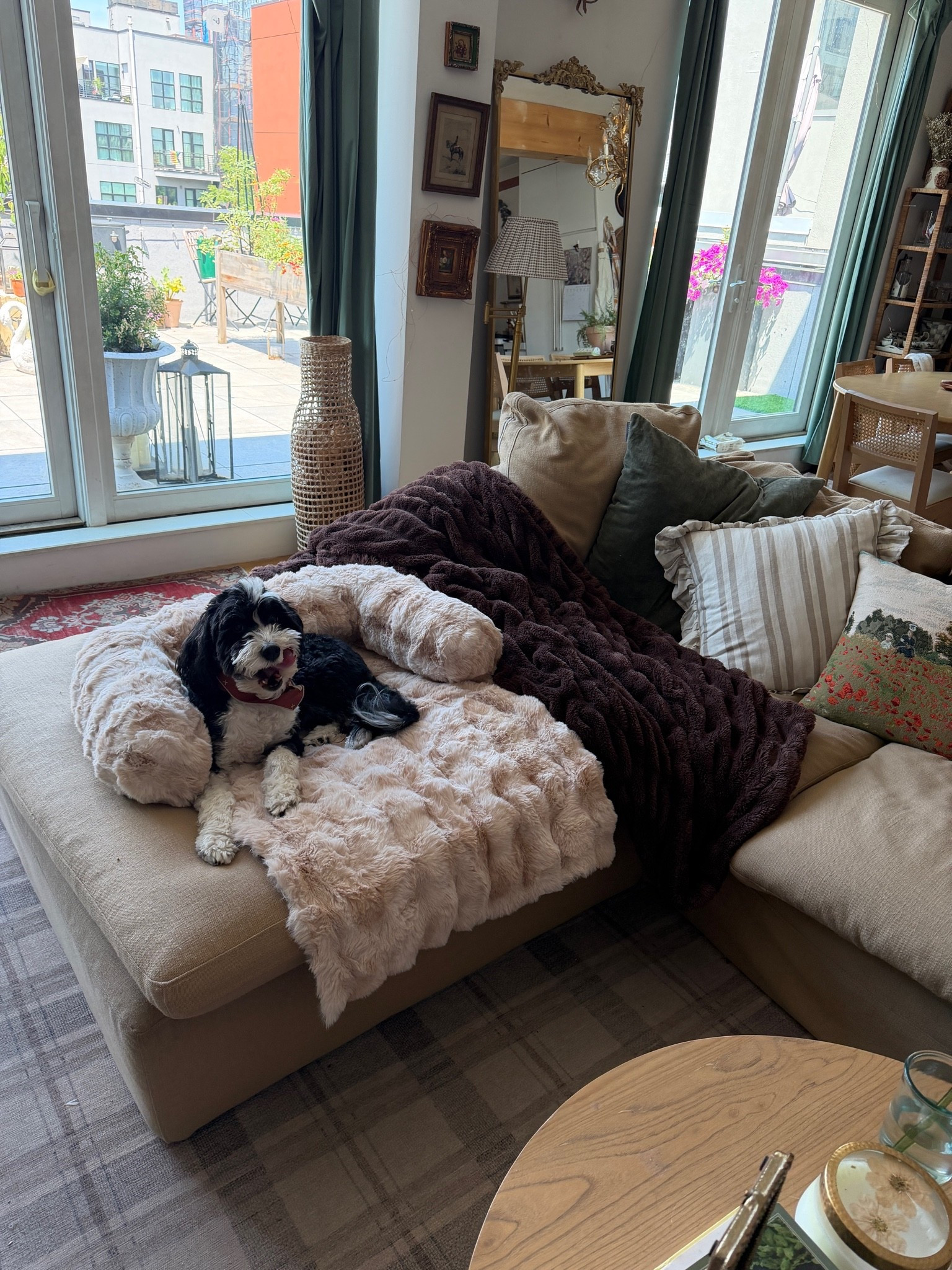Dog bed for a couch!

#LTKdayinmylife #LTKHome #LTKmomlife