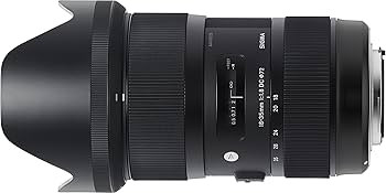 Sigma 18-35mm F1.8 Art DC HSM Lens for Canon, Black (210101) | Amazon (US)