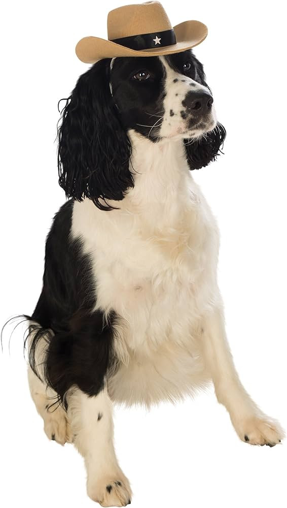 Rubie's Brown Cowboy Hat for Pets, Small/Medium | Amazon (US)