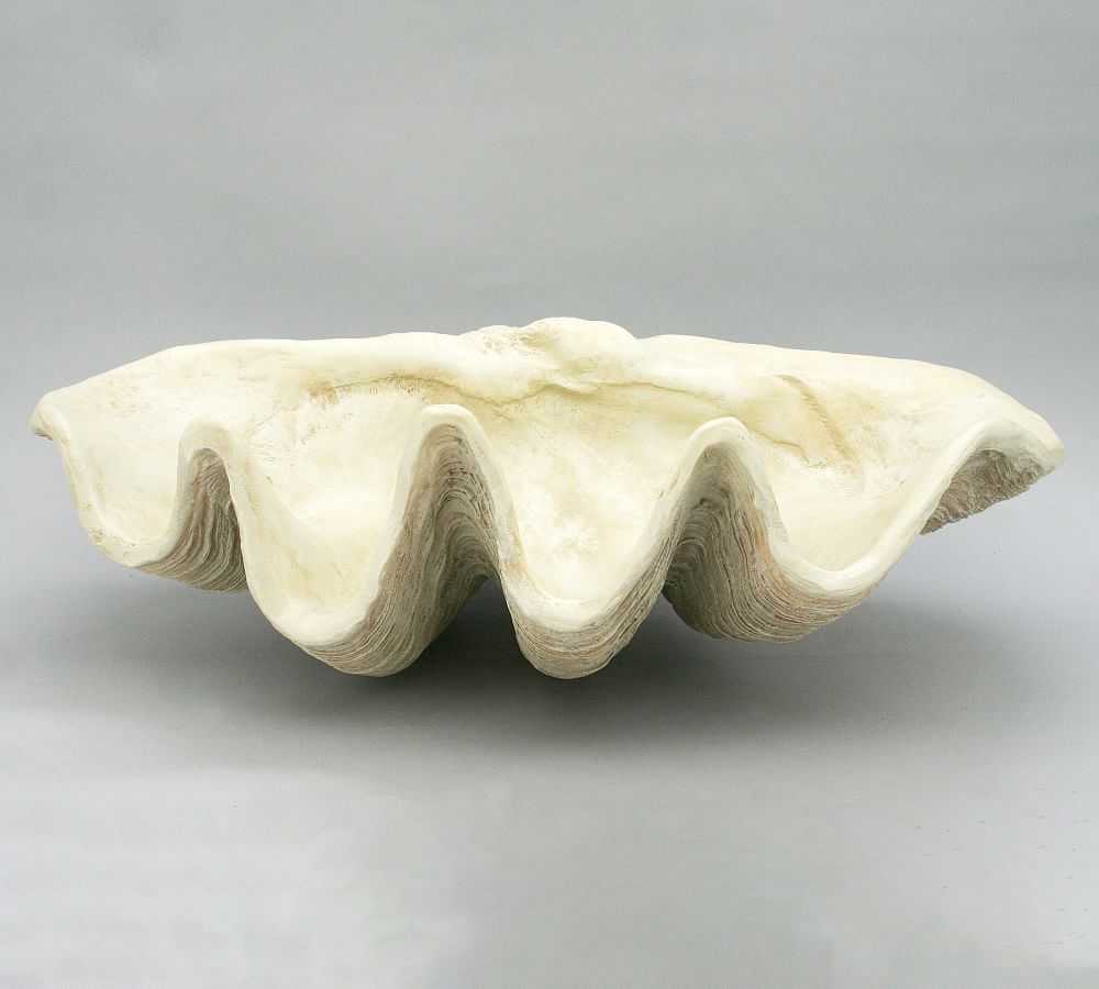 Giant Clam Decorative Object | Pottery Barn (US)