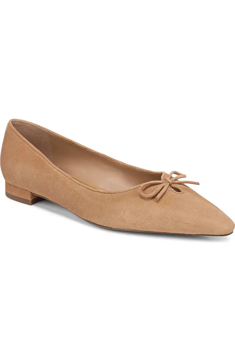 Esmira Pointed Toe Flat (Women) | Nordstrom