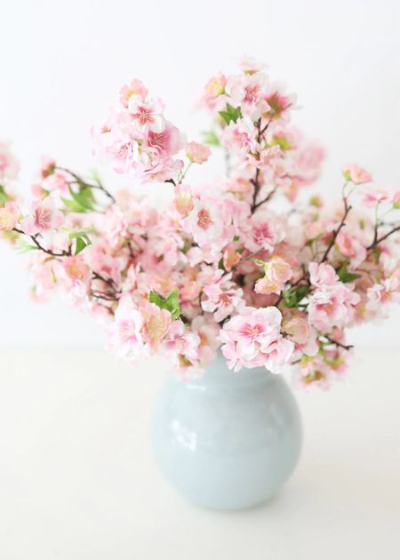 Faux cherry blossom stems! The shorter stems are the perfect length for smaller vases

Pink cherry blossoms, faux florals, tjmaxx 

#LTKhome #LTKsalealert #LTKunder50