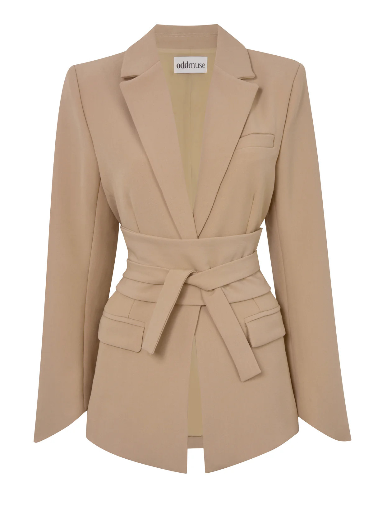 The Ultimate Muse Blazer With Additional Belts | Odd Muse