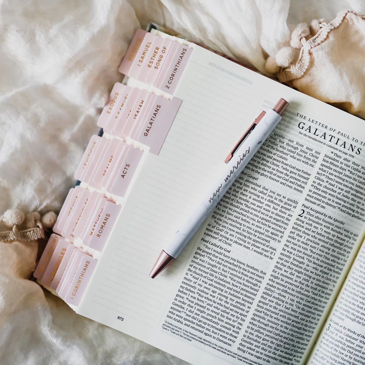 Blush Bible Tabs | The Daily Grace Co.