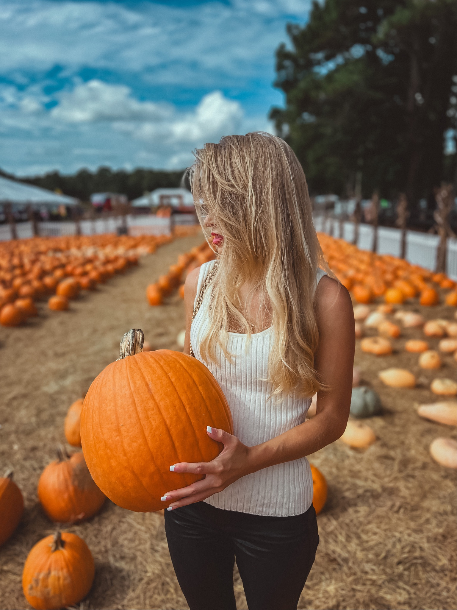 Pumpkin patch picking outfit fashion petite. Leather pants black and white sweater  

#LTKfindsunder100 #LTKHalloween #LTKSeasonal