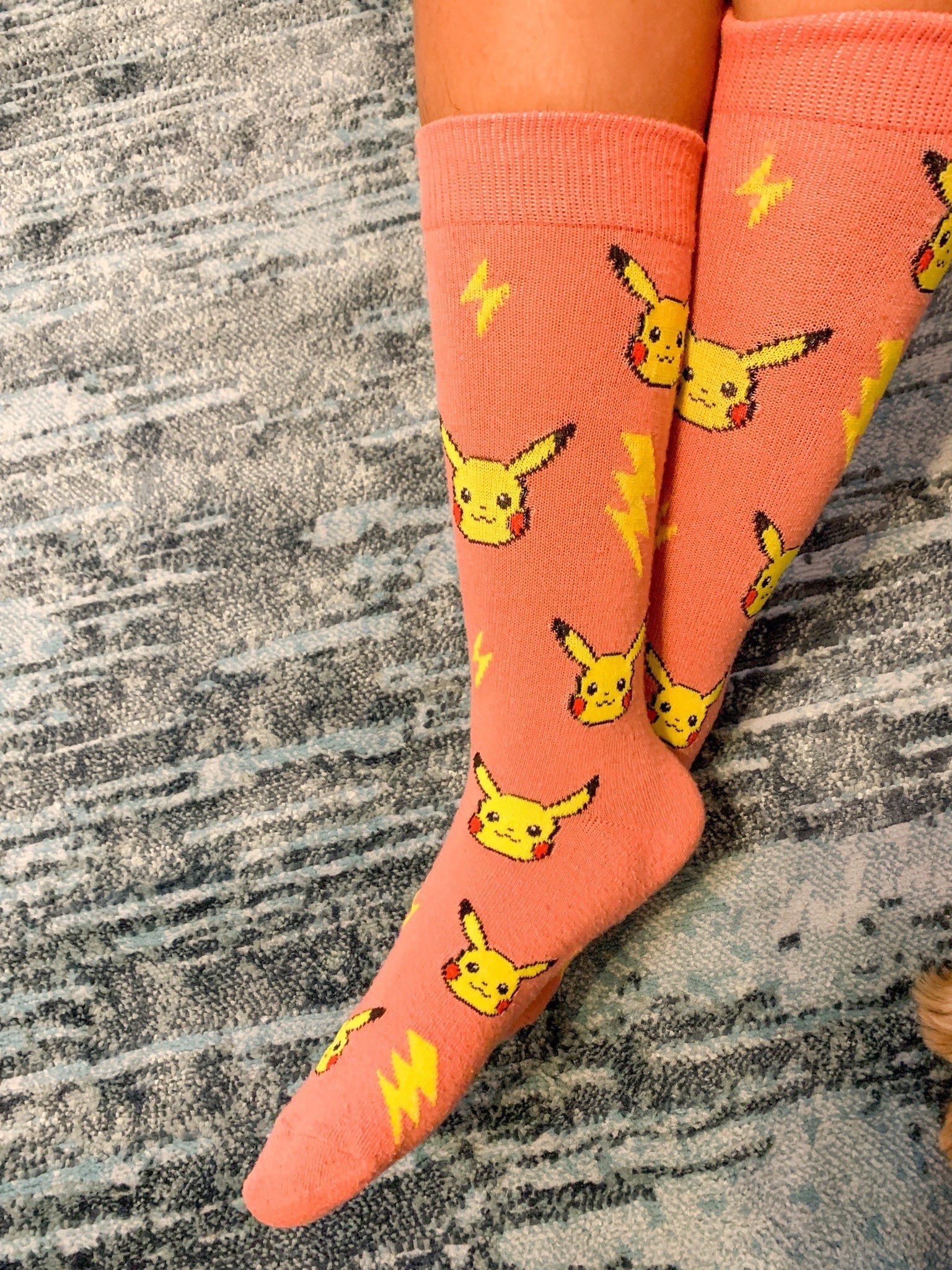 Pokémon crew socks set. These socks are so cute and perfect for the Pokémon lover in your life. #teens #pokemon #socks #accessories #gamer #videogames 

#LTKkids