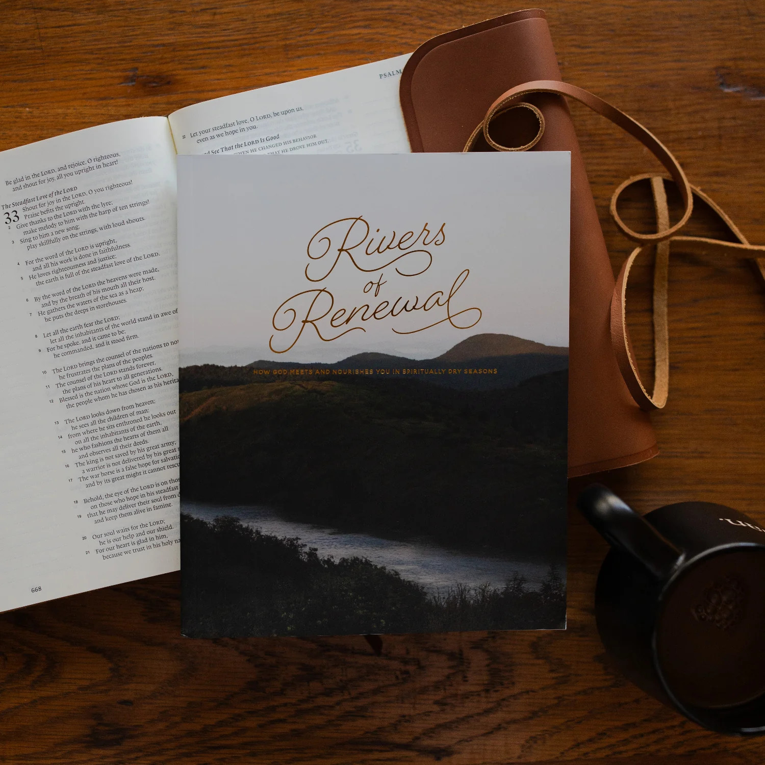 Rivers of Renewal | Bible Study | The Daily Grace Co.