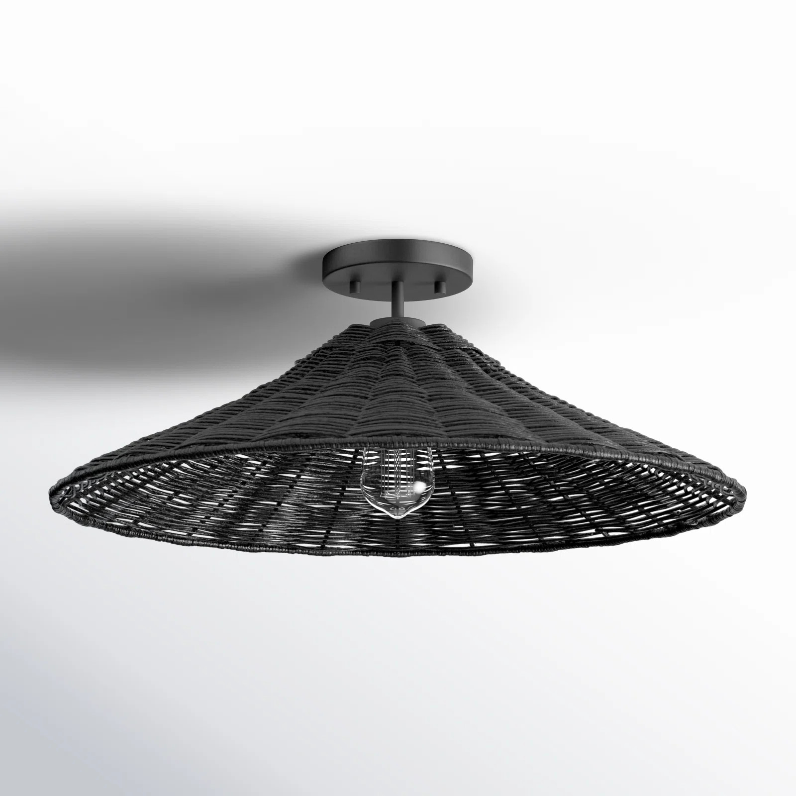 Lilliana 1-Light Ceiling Light in Matte Black | Wayfair North America
