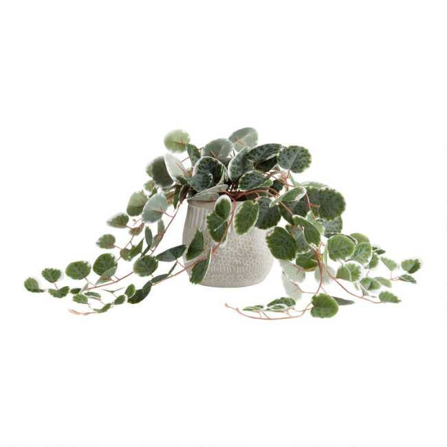 Faux String of Hearts Plant in Etched Cement Pot | World Market