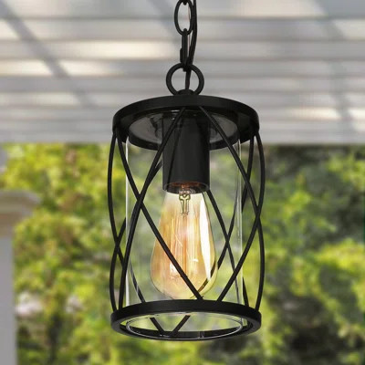 Ezquiel 1-Light Outdoor Hanging Pendant Light | Wayfair North America