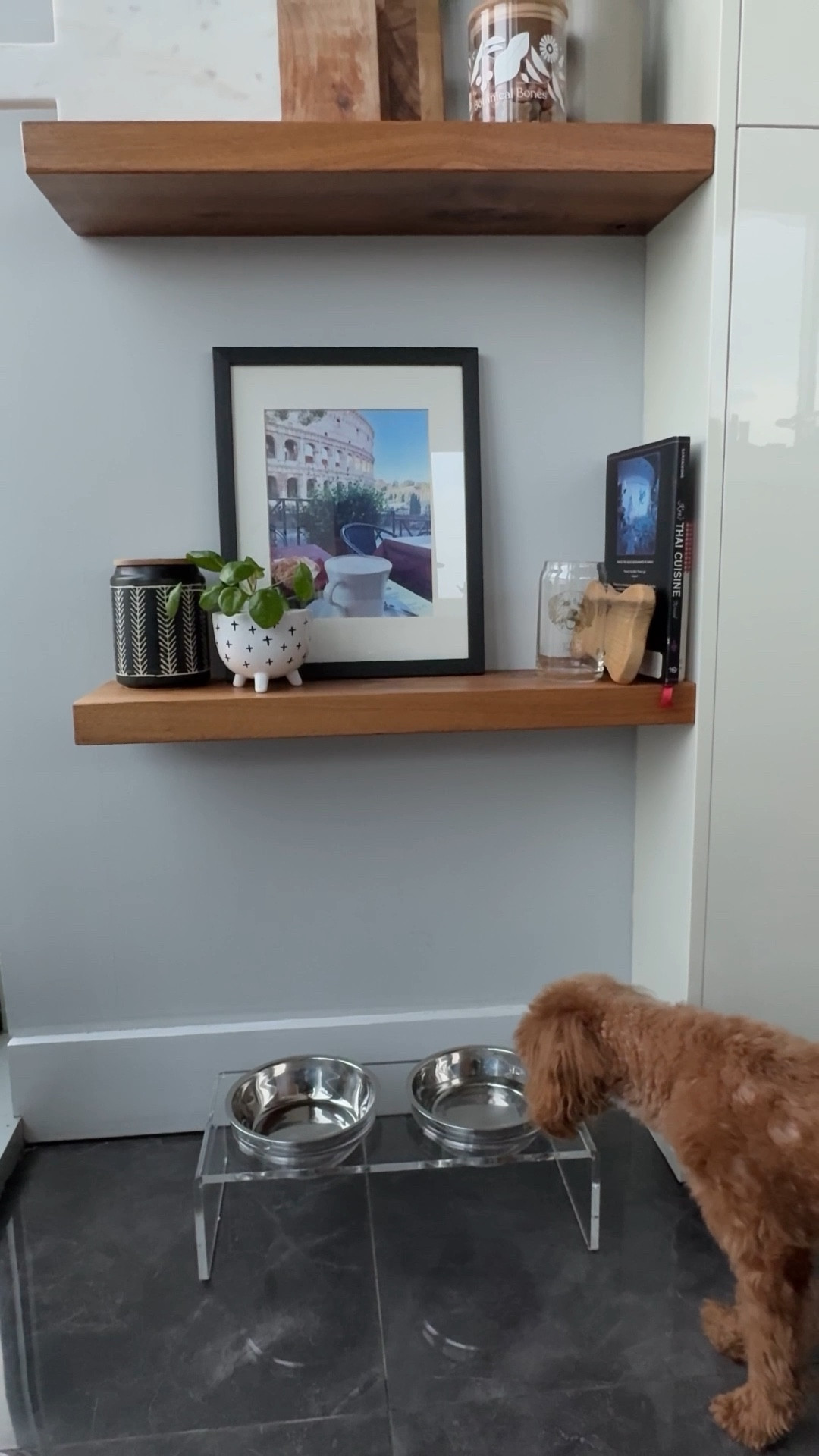 Upgraded my dog’s feeding area in the kitchen with a new modern pet feeder. Perfect for modern homes. It comes with 4 bowls and is easy to clean. Spring Home refresh. 

#LTKPets #LTKHome