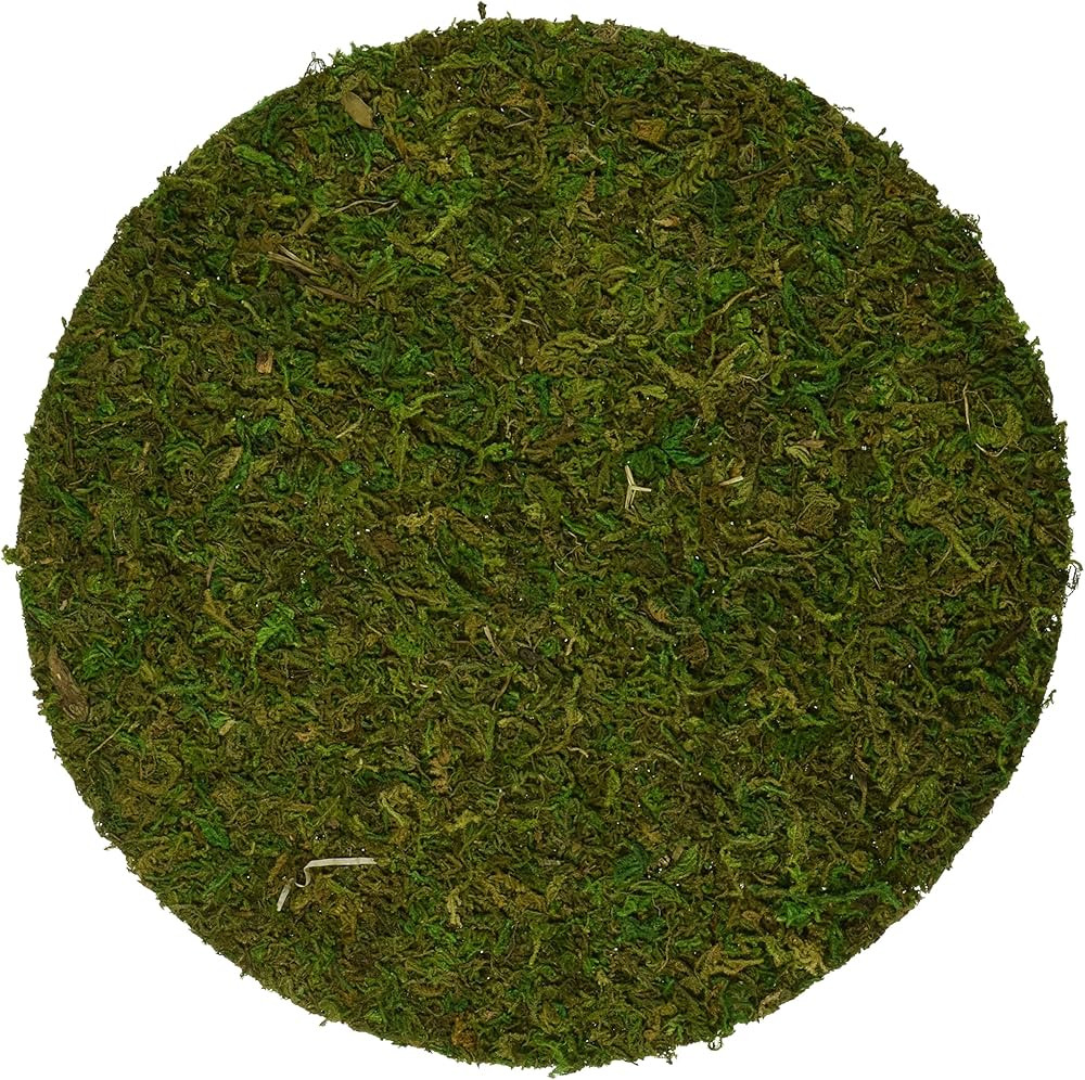SuperMoss (26310) Moss Soil Toppers (Place Mats), Fresh Green, 10" (3 units) | Amazon (US)