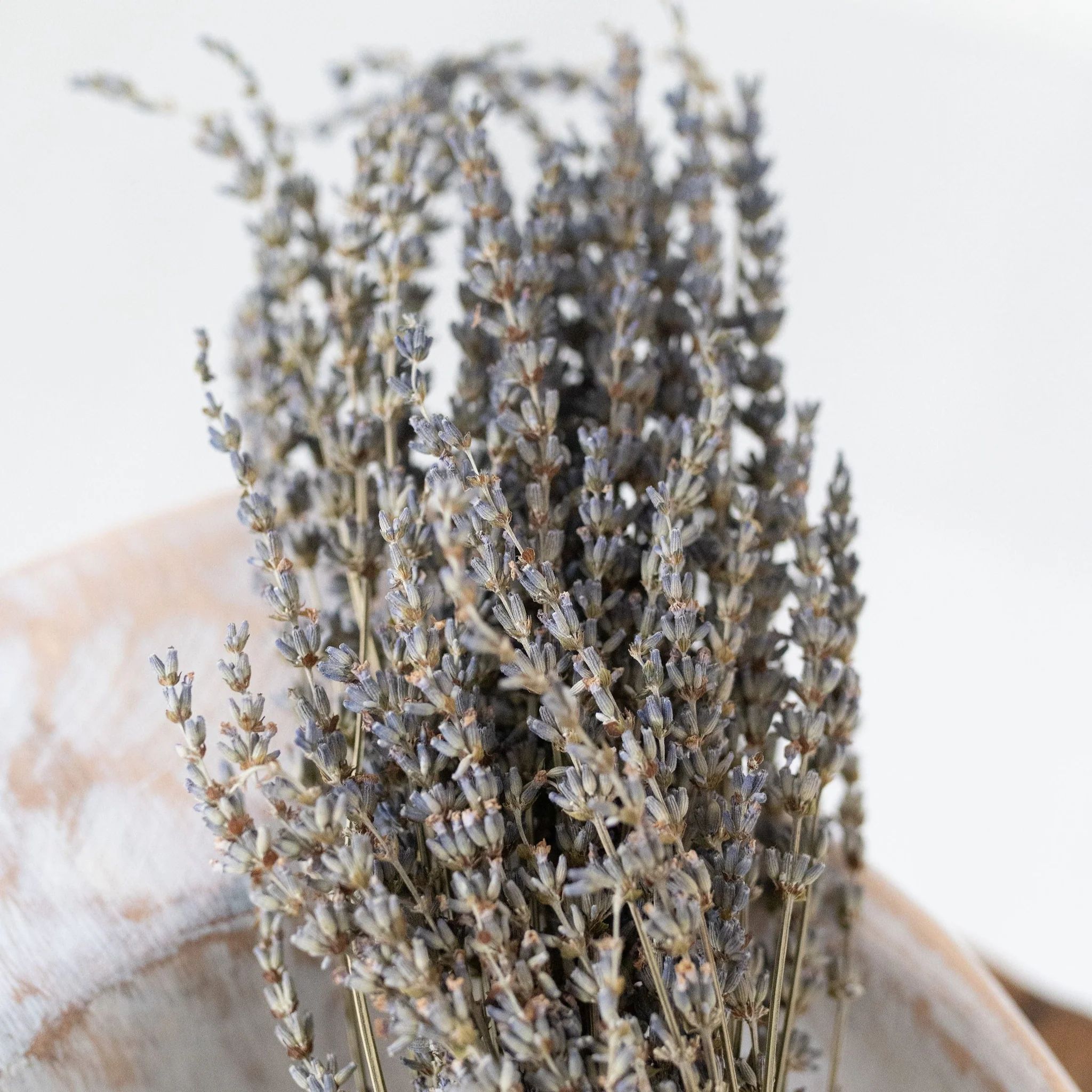 Preserved Lavender Bunch | Linen & Flax Co