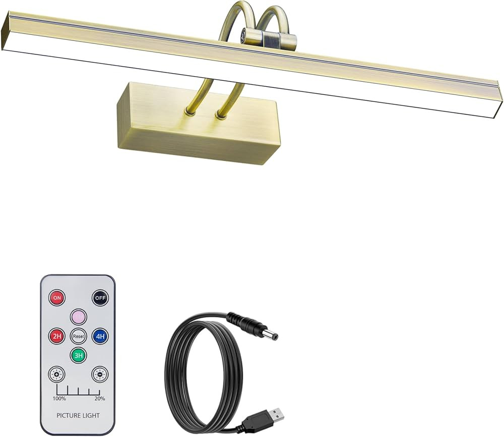 FUNCHDAY Picture Light Wireless, 13" Rechargeable Battery Operated Picture Lights with Remote Tim... | Amazon (US)